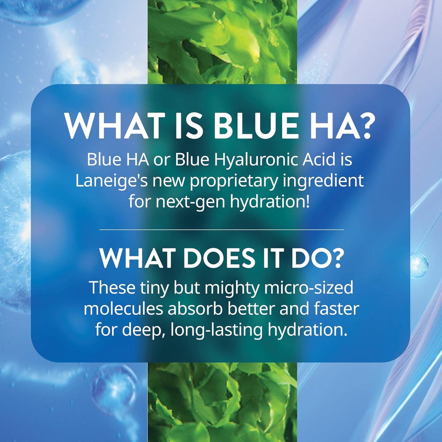 LANEIGE Water Bank Blue Hyaluronic Serum, Set 0f 30.